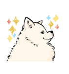 FluffySamoyed（個別スタンプ：20）