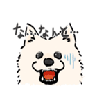 FluffySamoyed（個別スタンプ：22）