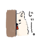 FluffySamoyed（個別スタンプ：26）