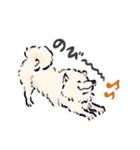 FluffySamoyed（個別スタンプ：38）