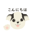 ミックス犬 ごーちゃん（個別スタンプ：1）