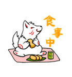 ぬくぬく白キツネ（個別スタンプ：10）