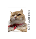 猫が代弁してくれる2（個別スタンプ：4）
