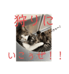 アルナハ4（個別スタンプ：4）