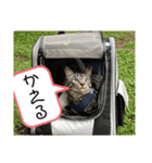 アルナハ4（個別スタンプ：9）