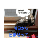 アルナハ4（個別スタンプ：12）