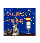 アルナハ4（個別スタンプ：13）