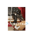 アルナハ4（個別スタンプ：15）