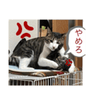 アルナハ4（個別スタンプ：17）