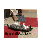 アルナハ4（個別スタンプ：18）