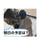 アルナハ4（個別スタンプ：19）