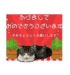 アルナハ4（個別スタンプ：23）