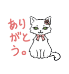 黒猫シェフのヴィレさん第3弾！（個別スタンプ：5）