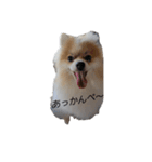 ひめと琥珀（個別スタンプ：3）