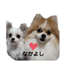 ひめと琥珀（個別スタンプ：5）