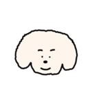 いろいろなどうぶつたちのかお（個別スタンプ：3）