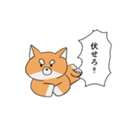 闘う柴犬（個別スタンプ：6）