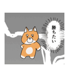 闘う柴犬（個別スタンプ：11）