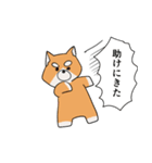 闘う柴犬（個別スタンプ：20）