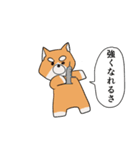 闘う柴犬（個別スタンプ：31）