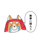 闘う柴犬（個別スタンプ：35）