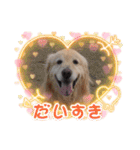 ジョン♪（個別スタンプ：18）