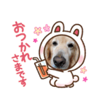 ジョン♪（個別スタンプ：19）