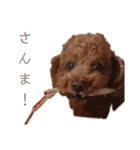 佐藤もこのスタンプ（個別スタンプ：3）