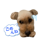 わんぱくトイプーの日常2（個別スタンプ：7）