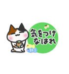 にゃんズ♡省スペース（個別スタンプ：17）