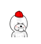紅白帽ビションフリーゼ（個別スタンプ：1）