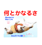 赤いりぼんの輪を広げたいワン①（個別スタンプ：1）