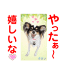 赤いりぼんの輪を広げたいワン①（個別スタンプ：6）