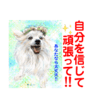 赤いりぼんの輪を広げたいワン①（個別スタンプ：8）