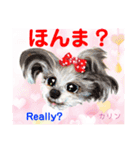 赤いりぼんの輪を広げたいワン①（個別スタンプ：16）