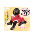 赤いりぼんの輪を広げたいワン①（個別スタンプ：17）