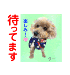 赤いりぼんの輪を広げたいワン①（個別スタンプ：22）