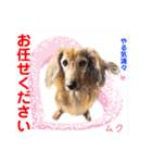 赤いりぼんの輪を広げたいワン①（個別スタンプ：28）