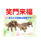 赤いりぼんの輪を広げたいワン①（個別スタンプ：29）