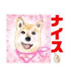 赤いりぼんの輪を広げたいワン ⑦（個別スタンプ：5）