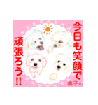 赤いりぼんの輪を広げたいワン ⑦（個別スタンプ：11）