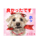 赤いりぼんの輪を広げたいワン ⑦（個別スタンプ：21）