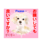 赤いりぼんの輪を広げたいワン ⑦（個別スタンプ：22）