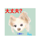赤いりぼんの輪を広げたいワン ⑦（個別スタンプ：26）