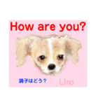 赤いりぼんの輪を広げたいワン ⑦（個別スタンプ：27）
