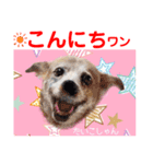 赤いりぼんの輪を広げたいワン ⑦（個別スタンプ：28）