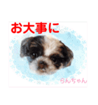 赤いりぼんの輪を広げたいワン ⑦（個別スタンプ：30）