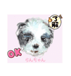 赤いりぼんの輪を広げたいワン ⑦（個別スタンプ：31）