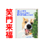 赤いりぼんの輪を広げたいワン⑨（個別スタンプ：1）
