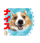 赤いりぼんの輪を広げたいワン⑨（個別スタンプ：2）